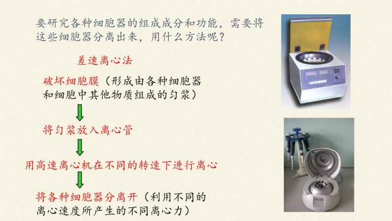 3.2(课件)细胞器之间的分工合作课件+教案+学案（3份打包）04