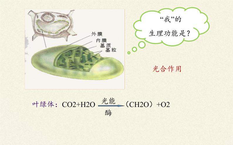 (课件)降低化学反应活化能的酶07