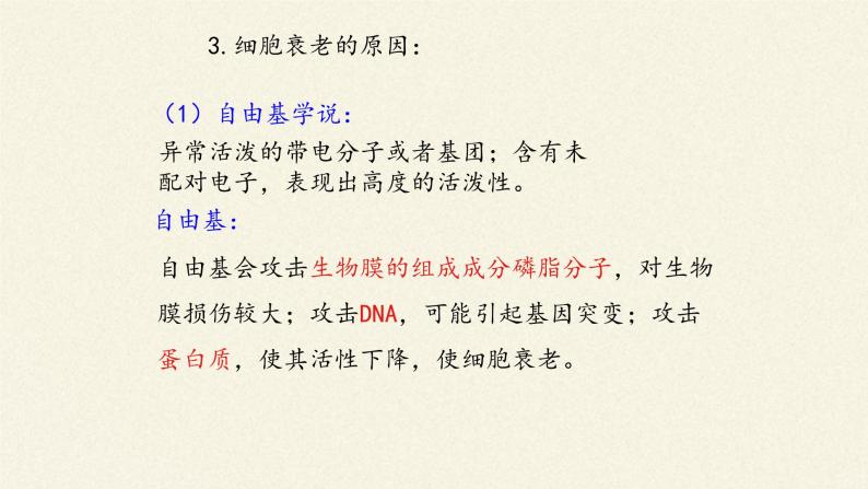 6.3细胞的衰老和死亡课件+教案+学案（3份打包）07