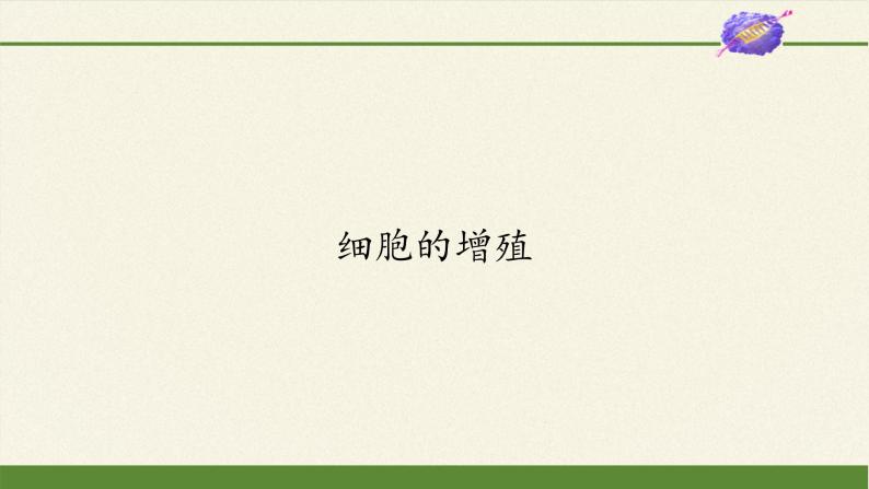 6.1细胞的增殖课件+教案+学案（3份打包）02