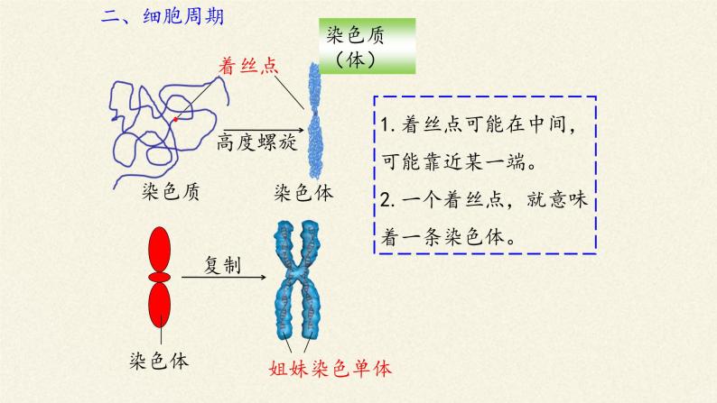 6.1细胞的增殖课件+教案+学案（3份打包）07