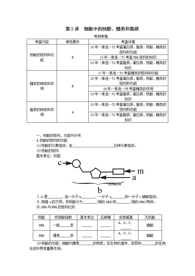 高考生物一轮总复习学案:第1单元 细胞的分子组成 第3讲 细胞中的核酸、糖类和脂质01