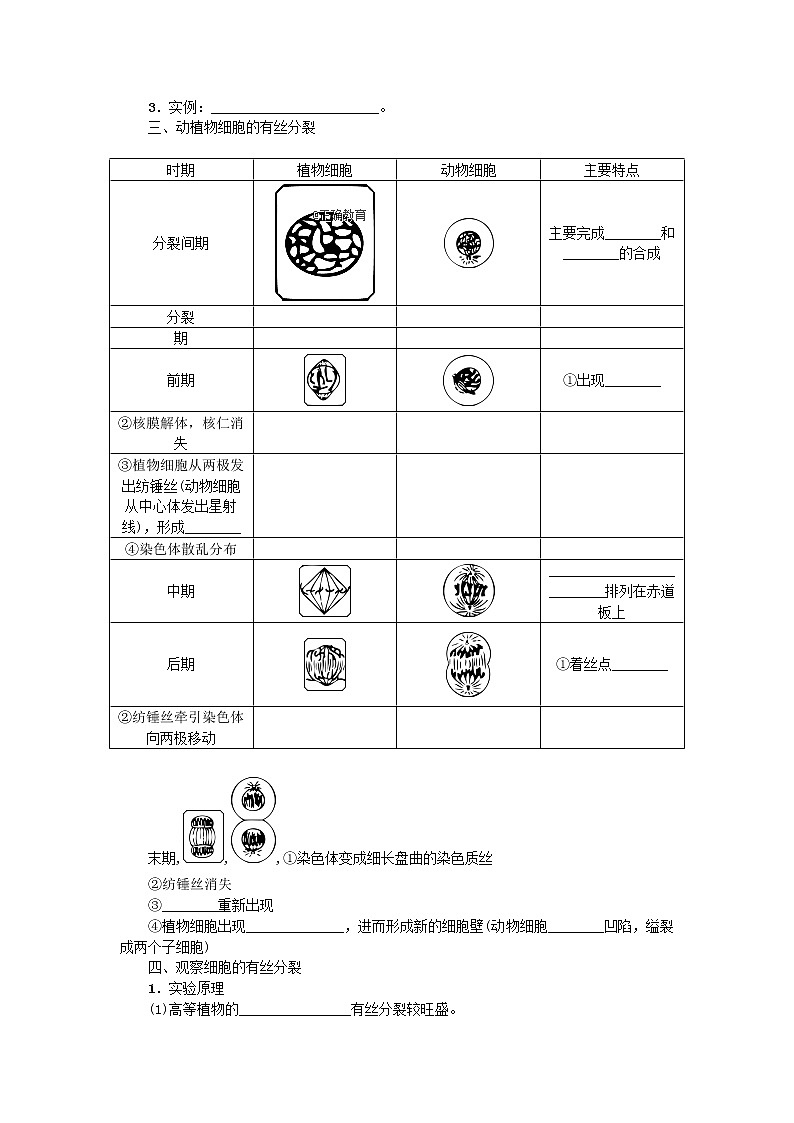 高考生物一輪總復習學案：第4單元 細胞的生命歷程 第1講 細胞的增殖1第2頁