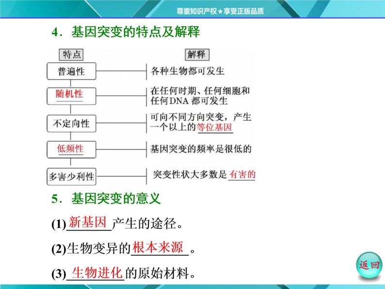 人教版必修2课件 第5章 第1节 基因突变和基因重组06