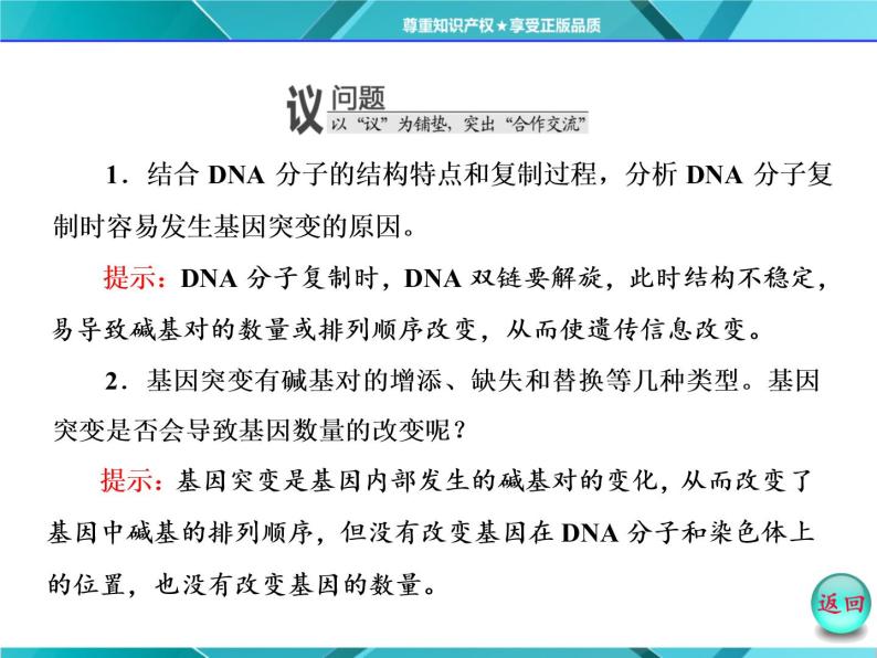 人教版必修2课件 第5章 第1节 基因突变和基因重组07