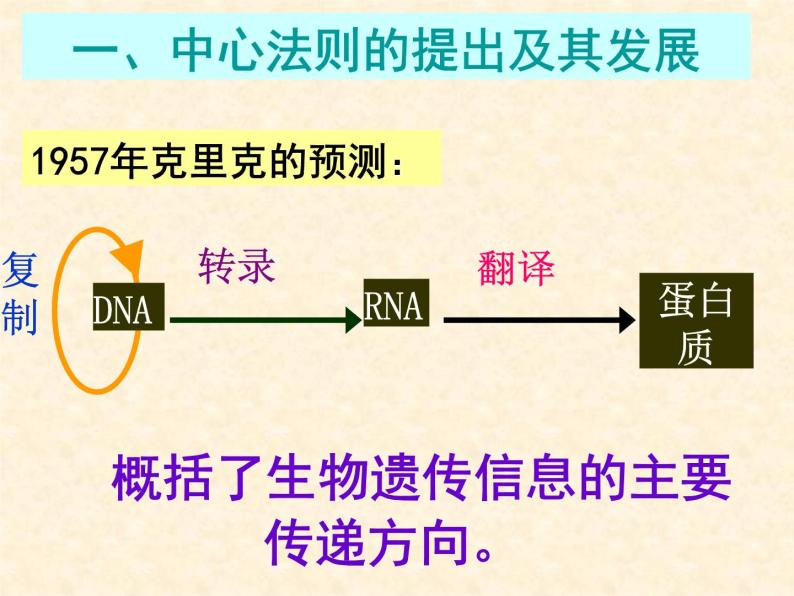 高中人教版生物必修2教学课件：4.2 基因对性状的控制2 word版含答案03