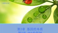 人教版 (新课标)必修2《遗传与进化》第3节 DNA的复制教课课件ppt