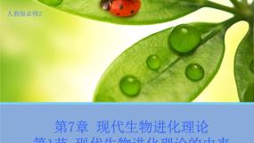 人教版 (新课标)必修2《遗传与进化》第1节 现代生物进化理论的由来多媒体教学课件ppt