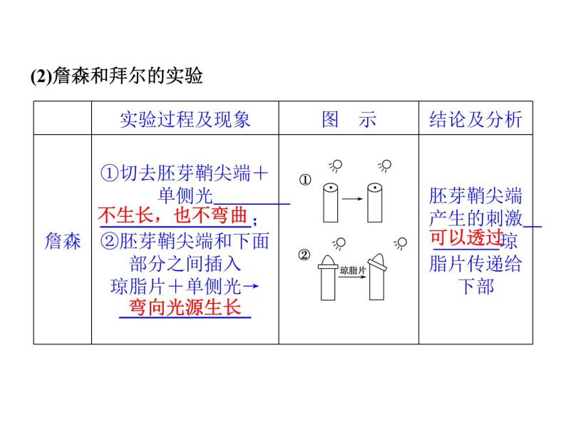 高效课堂同步课件：3-1植物生长素的发现（必修3）05