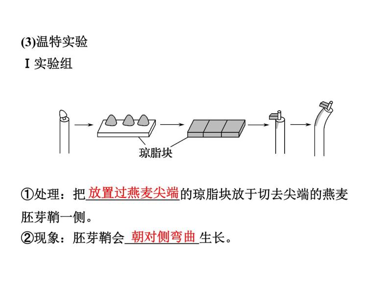 高效课堂同步课件：3-1植物生长素的发现（必修3）07