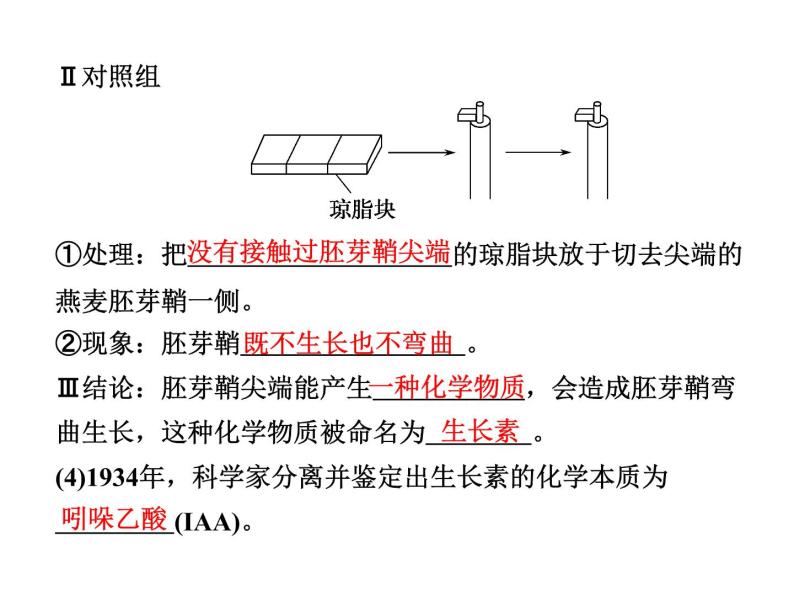 高效课堂同步课件：3-1植物生长素的发现（必修3）08