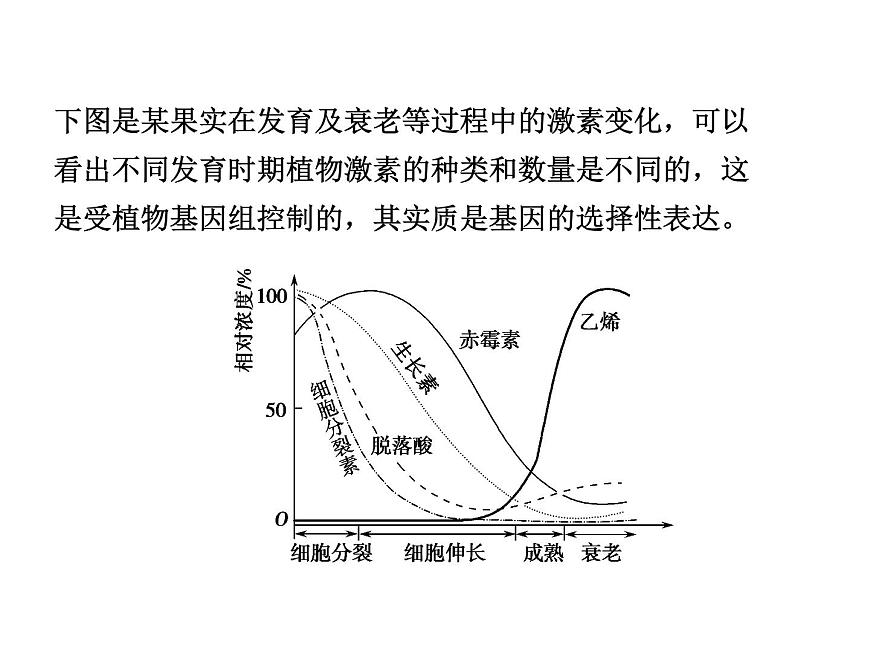 高效課堂同步課件：3-3其他植物激素（必修3）第8頁