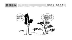 高中第2节 生长素的生理作用图片ppt课件