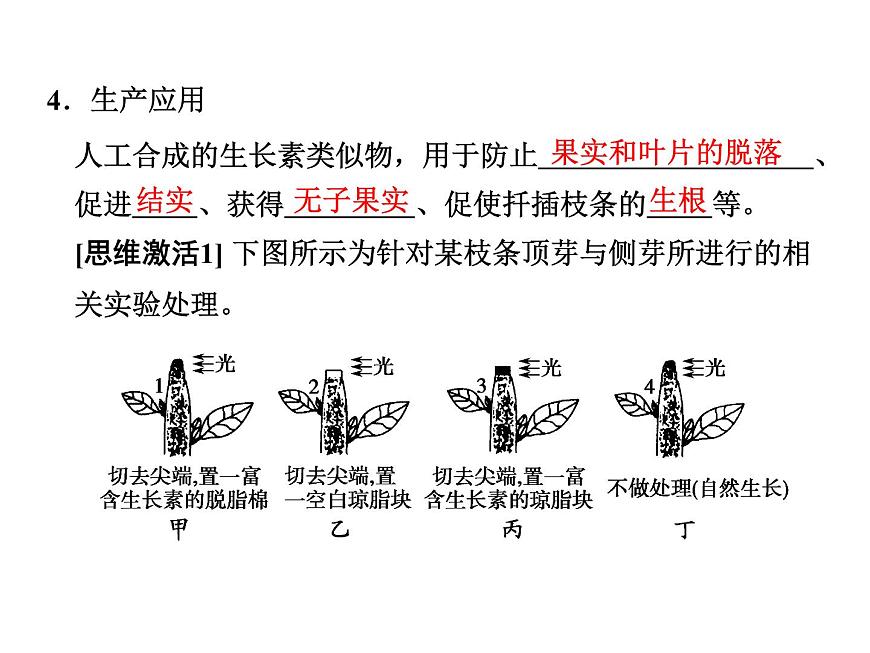 高效課堂同步課件：3-2生長素的生理作用（必修3）第5頁
