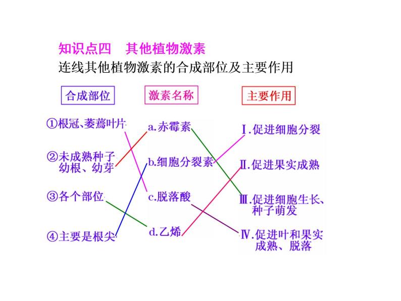 第2单元  植物的激素调节 课件05