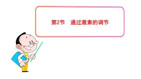 高中生物人教版 (新课标)必修3《稳态与环境》第2章 动物和人体生命活动的调节第2节 通过激素的调节授课ppt课件