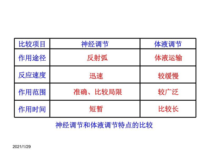 高中生物PPT授课课件(人教版必修3)2.3神经调节与体液调节的关系05