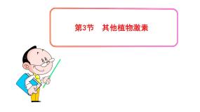 高中生物人教版 (新课标)必修3《稳态与环境》第3节 其他植物激素授课课件ppt