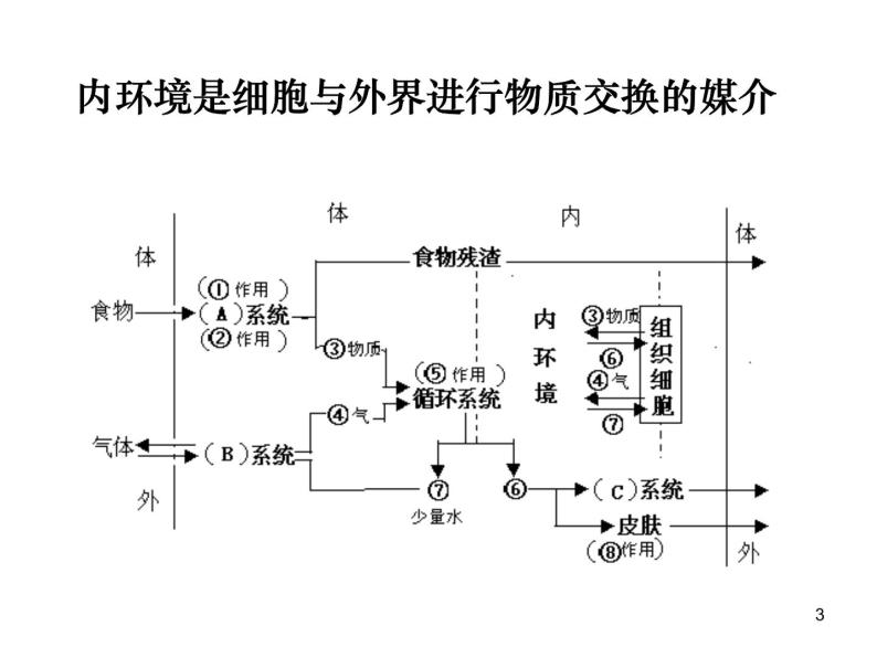 必修3 稳态与环境1.2内环境稳态的重要性 课件03