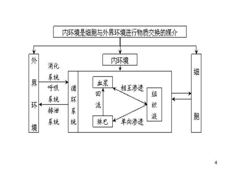 必修3 稳态与环境1.2内环境稳态的重要性 课件04