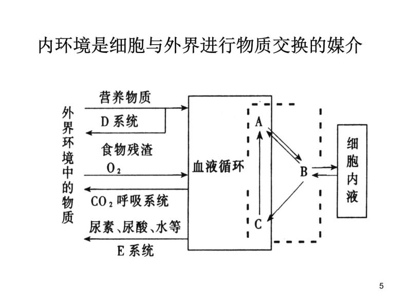 必修3 稳态与环境1.2内环境稳态的重要性 课件05