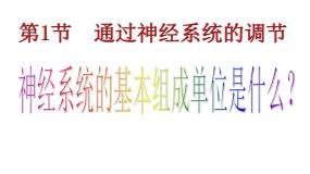 高中第3节 神经调节与体液调节的关系课文内容ppt课件