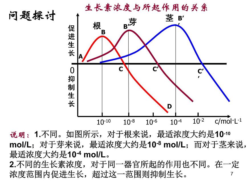 必修3 穩(wěn)態(tài)與環(huán)境3.2生長素的生理作用(28張)第7頁