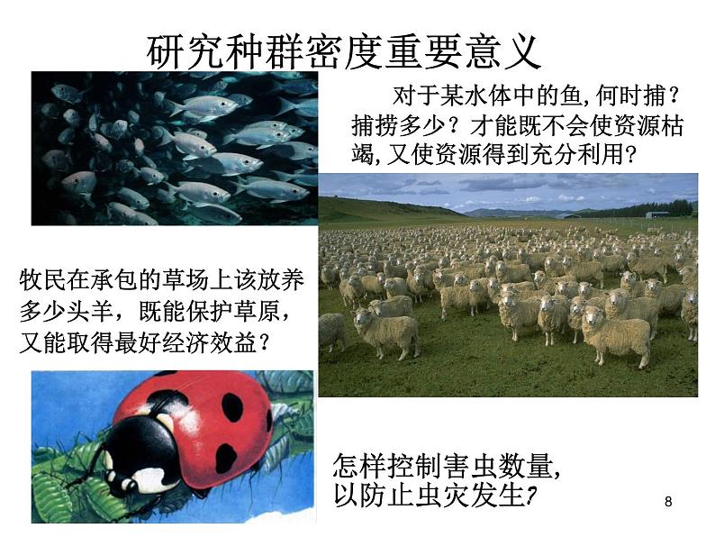 必修3 稳态与环境4.1 种群的特征(35张) 课件08