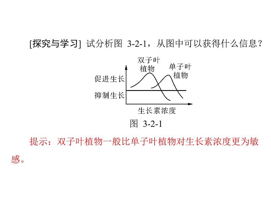 新人教版生物必修三：3.2《生長素的生理作用》ppt課件（36頁）第5頁