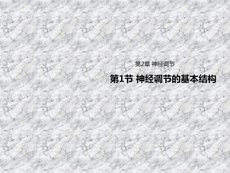 2.1神经调节的基本结构 课件第1页