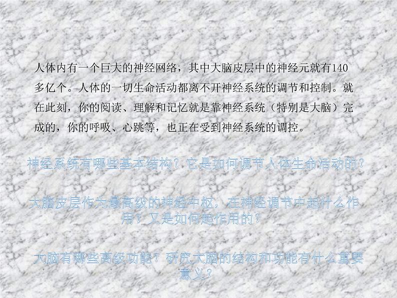 2.1神经调节的基本结构 课件第3页