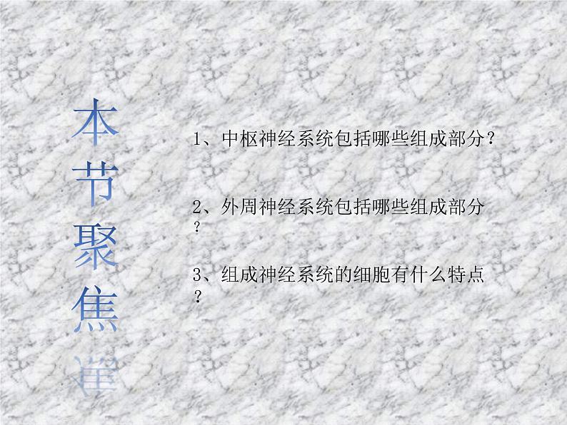 2.1神经调节的基本结构 课件第4页