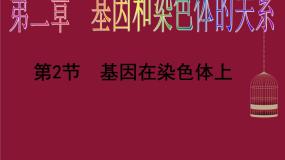 人教版 (新课标)必修2《遗传与进化》第2节 基因在染色体上教课ppt课件