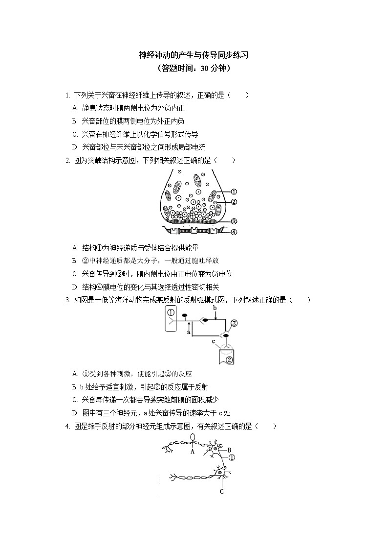 选择性必修1 第2章 神经调节 第三节同步练习01