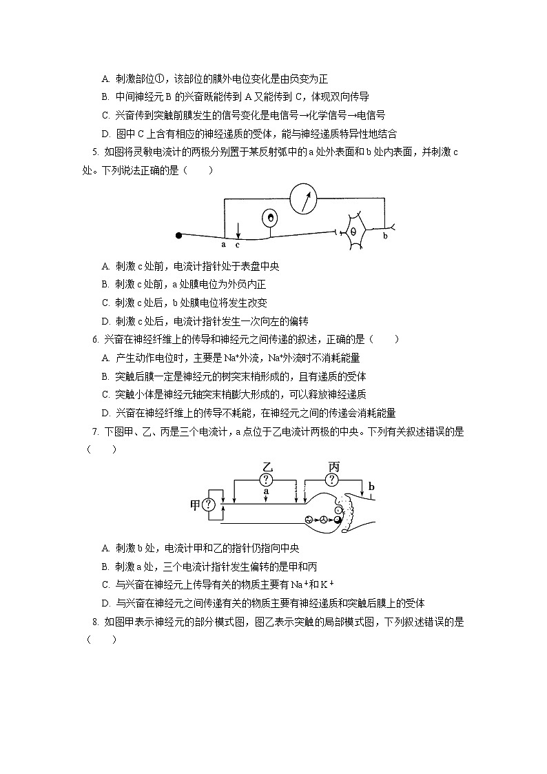 选择性必修1 第2章 神经调节 第三节同步练习02