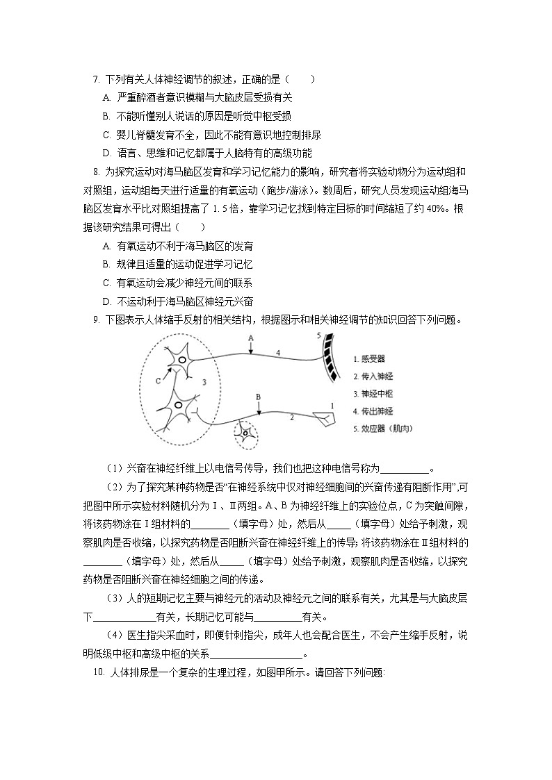 选择性必修1 第2章 神经调节 第四、五节同步练习02