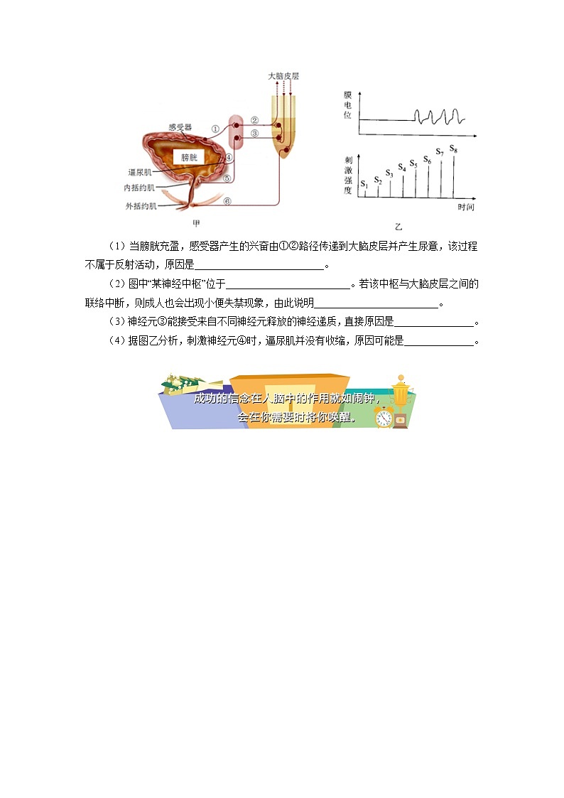选择性必修1 第2章 神经调节 第四、五节同步练习03