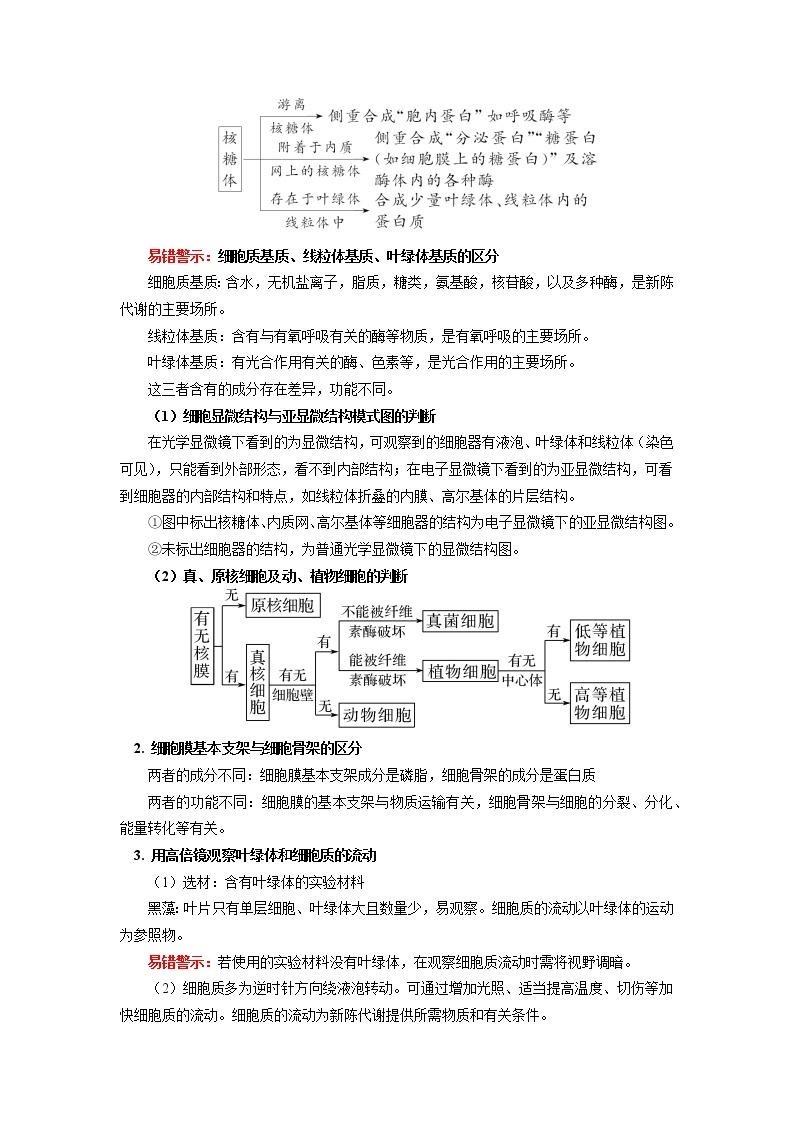 2020-2021学年高一上学期生物人教版（2019）必修一第3章 细胞的结构 第2节  学案03