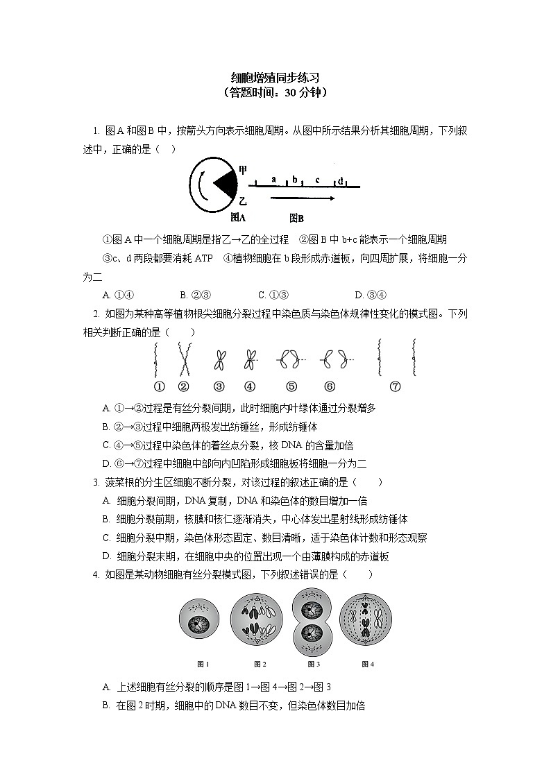 2020-2021学年高一上学期生物人教版(2019)必修一 第6章 细胞的生命历程 第1节同步练习01