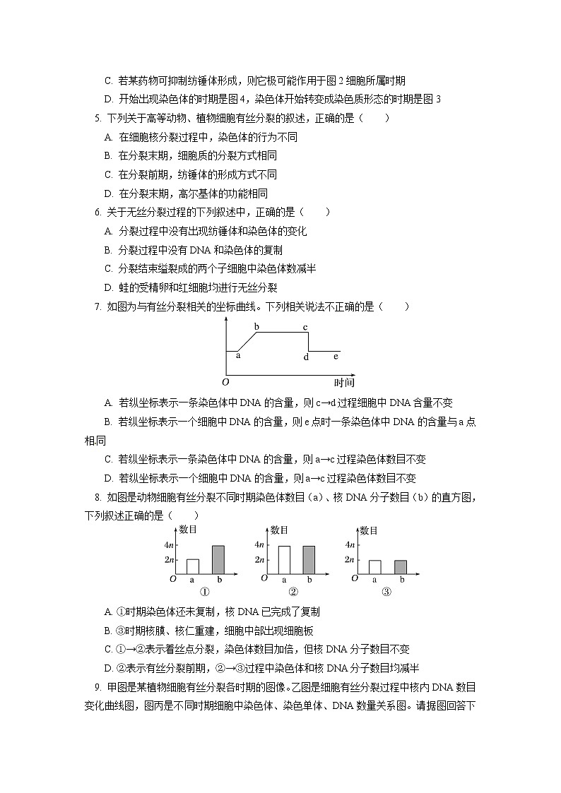 2020-2021学年高一上学期生物人教版(2019)必修一 第6章 细胞的生命历程 第1节同步练习02
