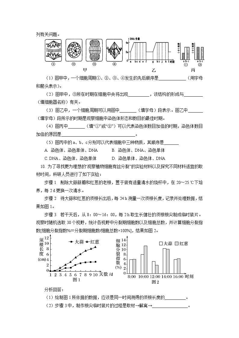 2020-2021学年高一上学期生物人教版(2019)必修一 第6章 细胞的生命历程 第1节同步练习03
