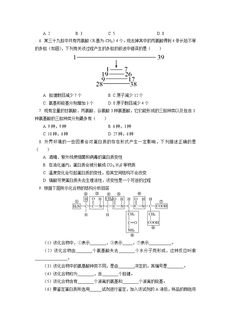 2020-2021学年高一上学期生物人教版（2019）必修一 第2章 组成细胞的分子 第4节同步练习02