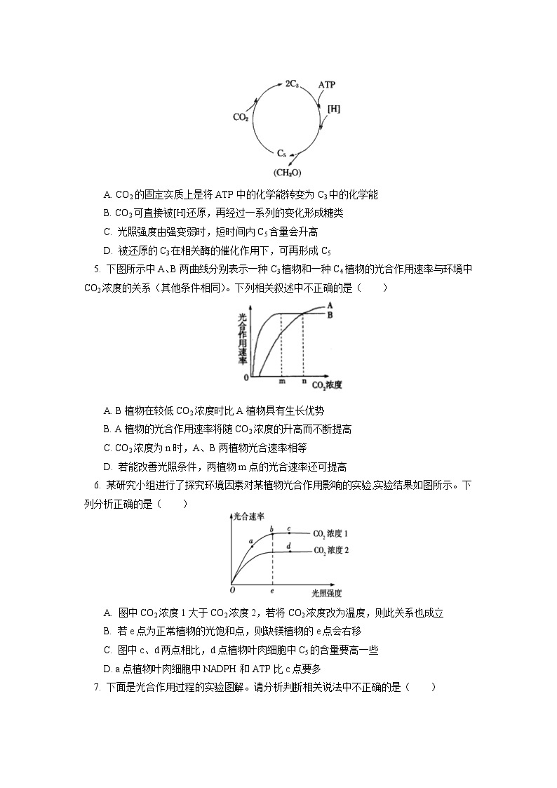 2020-2021学年高一上学期生物人教版（2019）必修一 第5章 细胞的能量供应和利用 第4节同步练习02