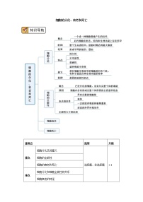 高中生物人教版 (2019)必修1《分子与细胞》第3节 细胞呼吸的原理和应用优质导学案及答案