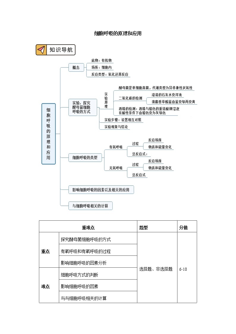 2020-2021学年高一上学期生物人教版（2019）必修一第5章 细胞的能量供应和利用 第3节 学案01