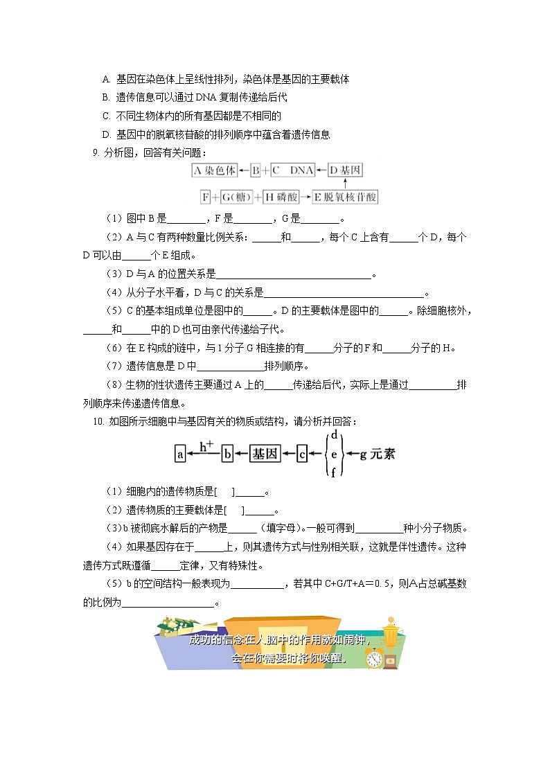 2020-2021学年高一上学期生物人教版(2019)必修二 基因通常是有遗传效应的DNA片段同步练习(含答案)02