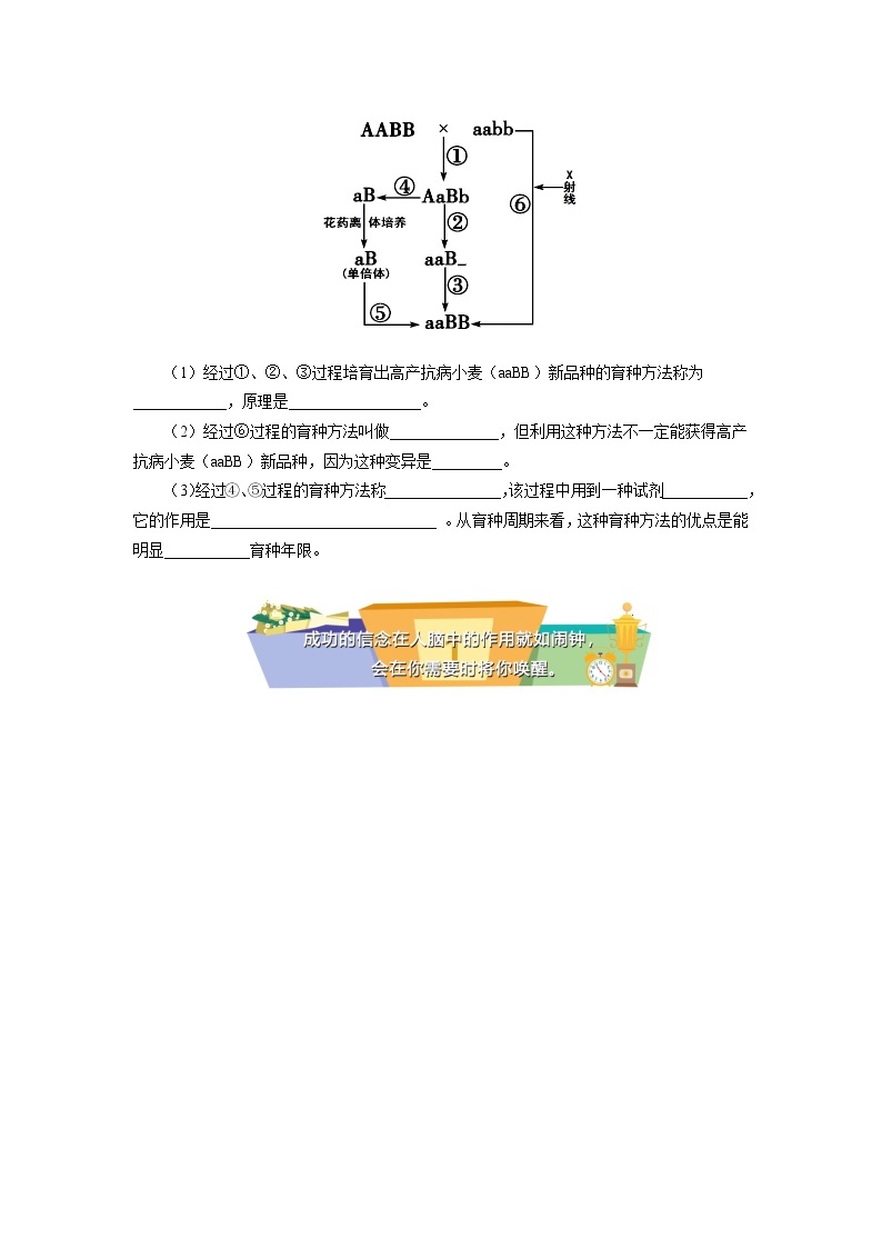 2020-2021学年高一上学期生物人教版（2019）必修二  第5章 基因突变及其他变异 第一、二节同步练习（含答案）03