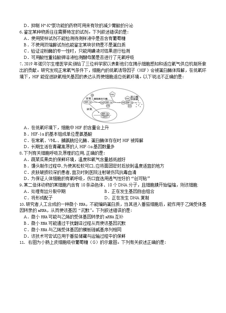 河南省实验中学2021届高三上学期期中考试 生物 (含答案)02