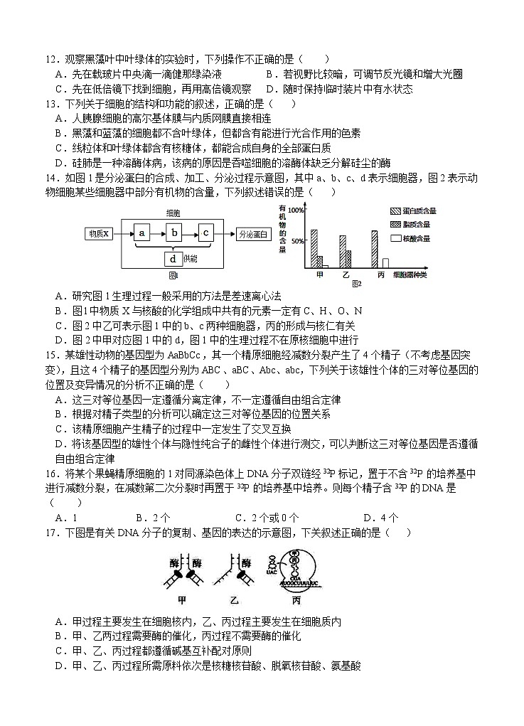 甘肃省天水市一中2021届高三上学期第三学段考试 生物 (含答案)第3页