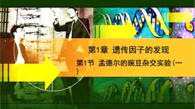高中生物人教版 (新课标)必修2《遗传与进化》第1节 盂德尔的豌豆杂交实验（一）优质课件ppt